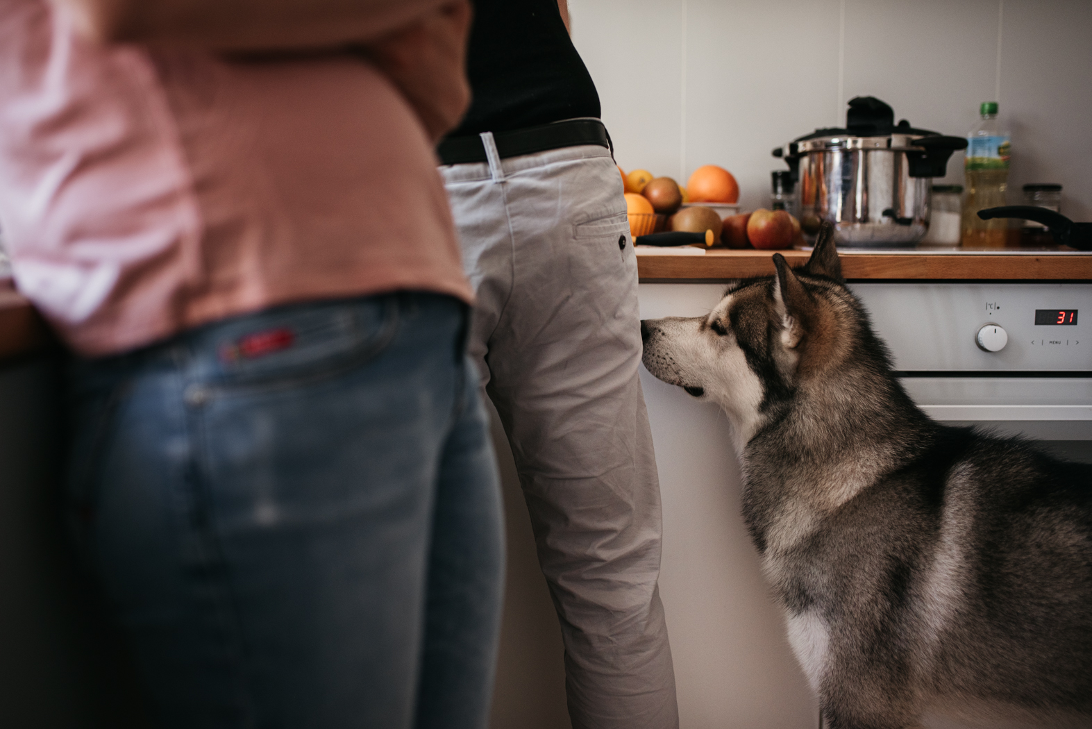 pies zagląda na blat kuchenny, rodzina robi posiłek domowa sesja rodzinna warszawa